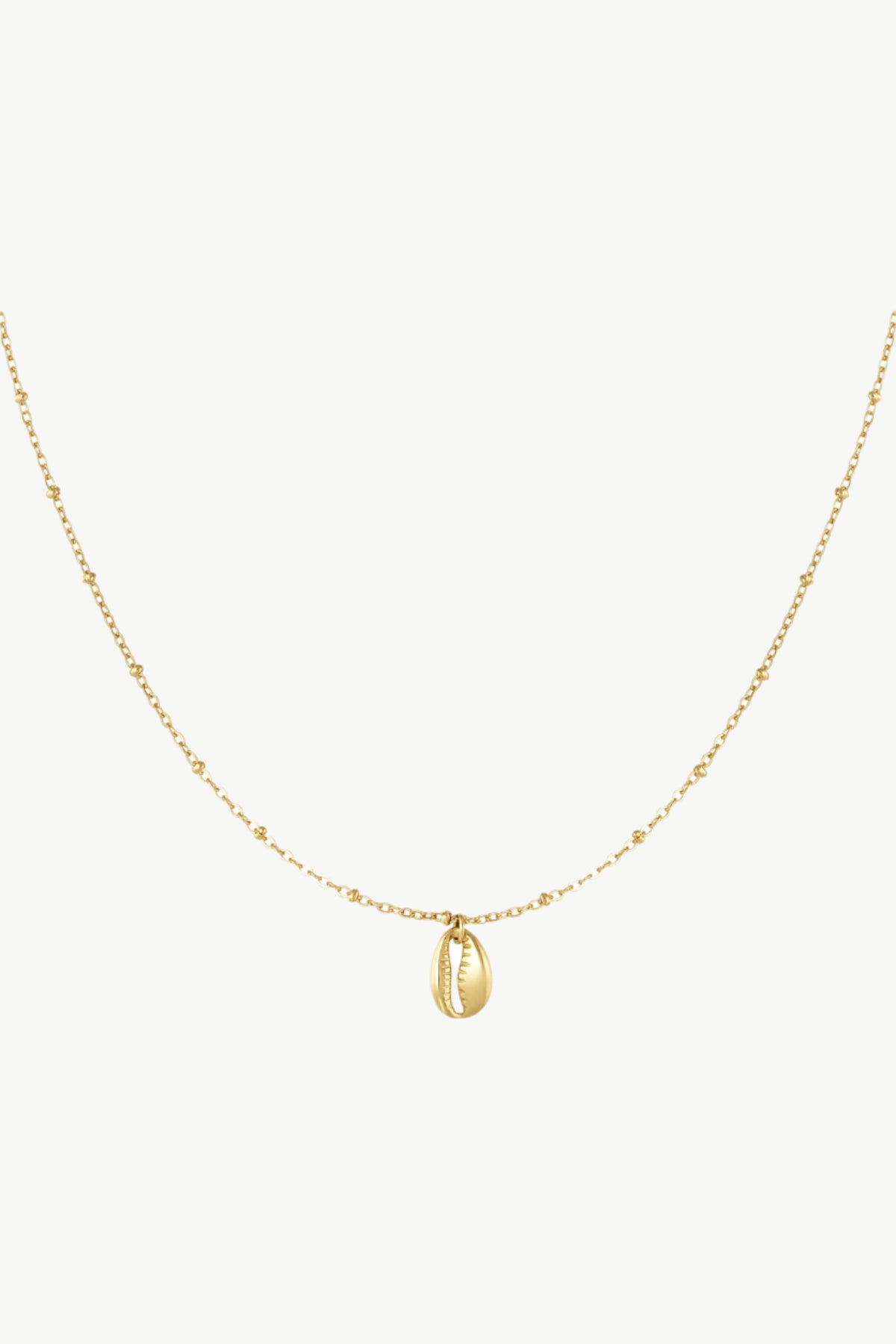 Gouden minimalistische ketting met schelp