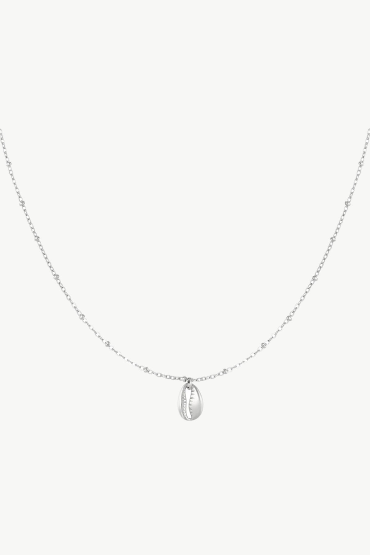 Zilveren minimalistische ketting met schelp