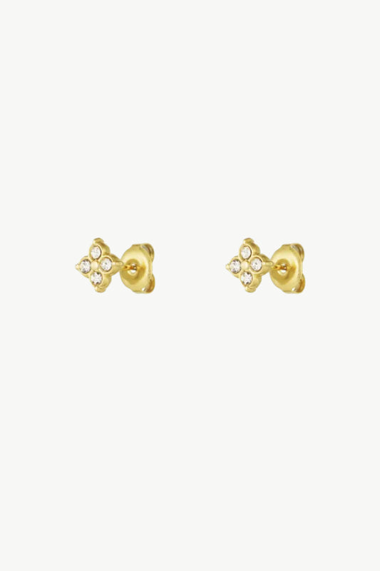 Zirkonia studs goud
